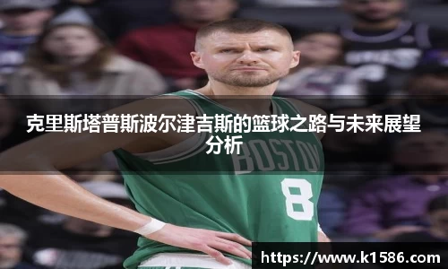 半岛体育官网入口