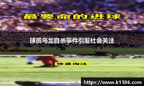 半岛体育官网入口